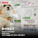 (주)피쉬케어 | 강아지눈물사료 화이트도그 | 피쉬 곤충 동애등애 내돈내산 솔직후기