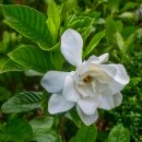 더럭초등학교 이미지