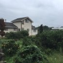 스테이숑 이미지