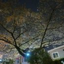 라따파 네이버블로그