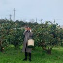 공천포 민박 이미지