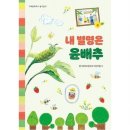 하우스윤