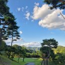 대영밧데리 | ⛳ 충주 대영힐스CC 3부 첫티 후기