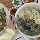 조개생칼국수 네이버블로그