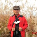 배곧생명공원 이미지