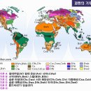 피시플러스 네이버블로그