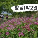 4/24-25 창녕1박2일 동영상 후기 이미지