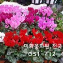 미화화원 이미지