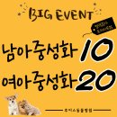 도화동물병원 이미지