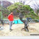 두리조경 이미지