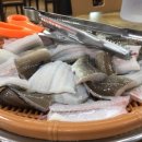 대영장어 이미지