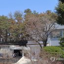 지품면사무소 연합뉴스