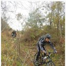 회동목장 이미지