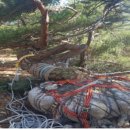 강원지방경찰청 이미지