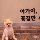 모찌네호캉스 이미지