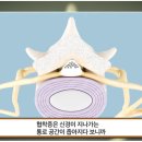 제일정형외과병원 이미지