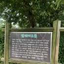 안세미오름 후기