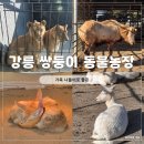 성환엘크사슴농장 | 강릉 쌍둥이 동물농장 후기｜강릉 가볼만한곳 가족 나들이 추천