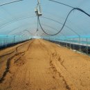 대산2농장 이미지