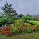 치악꽃밭머리펜션 이미지