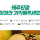 태추단감 효능 칼로리 태추단감 보관 이미지