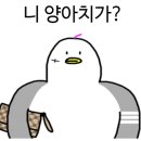 완미족발 정관점 이미지