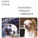 등마루식당 이미지