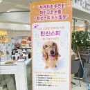 봉봉애견 네이버블로그