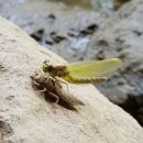 노작공원(오산천변) 이미지