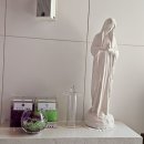 간석2동-11 이미지