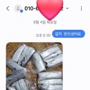 은갈치