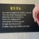 구환회단팥빵 이미지