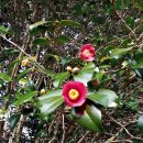 인동2리 이미지