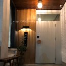 스테이시호일 이미지