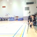 서초종합체육관 이미지