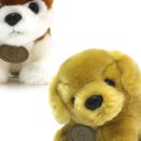 기프트 펫 이미지