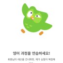 패밀리PC방(NO.5) | 듀오링고 내돈내산 패밀리 구매 방법, 100일 후기 학습 효과, 추천 비추천