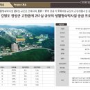 마이애미정선 이미지