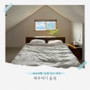 소담꽃.전기;철물 | [제주/숙소] 제주 동쪽 숙소 추천 제주여기 동복