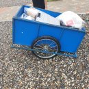 씨사이드파크 텐트캠핑장화장실 이미지