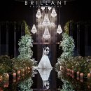 브리앙뜨 이미지