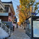 사림동151 이미지