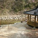 강씨봉자연휴양림 이미지