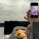 하우스못골 | 언제적 임시저장 글이더라 .. 25년 여름 일상