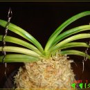 김형달농장 이미지