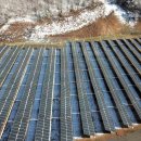 365일에너지태양광발전소 이미지