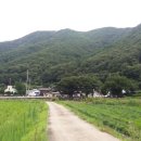 금대마을 이미지