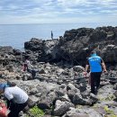 아시아나에어포트(주) 이미지