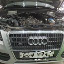 오토오아시스 바이오1점 이미지