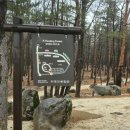 소나무 숲 리조트 | 켄싱턴 설악밸리 리조트안 놀거리 총정리